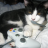 NEKATZE